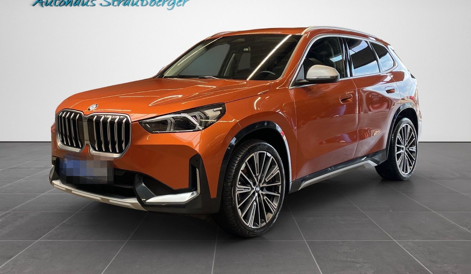 BMW X1 23 d xDrive xLine ACC AHK RFK SHZ LRHZ AD LED foto 3