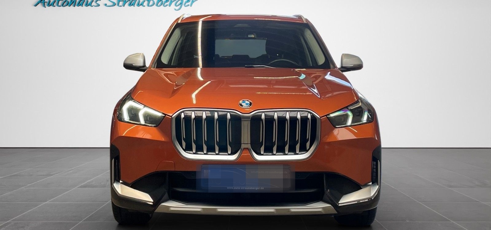 BMW X1 23 d xDrive xLine ACC AHK RFK SHZ LRHZ AD LED foto 6