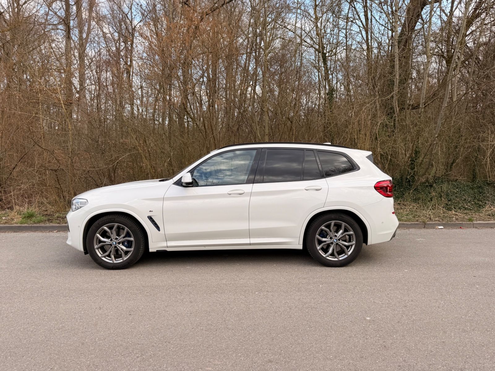 BMW X3 xDrive30d M SPORT AT M SPORT  foto 15