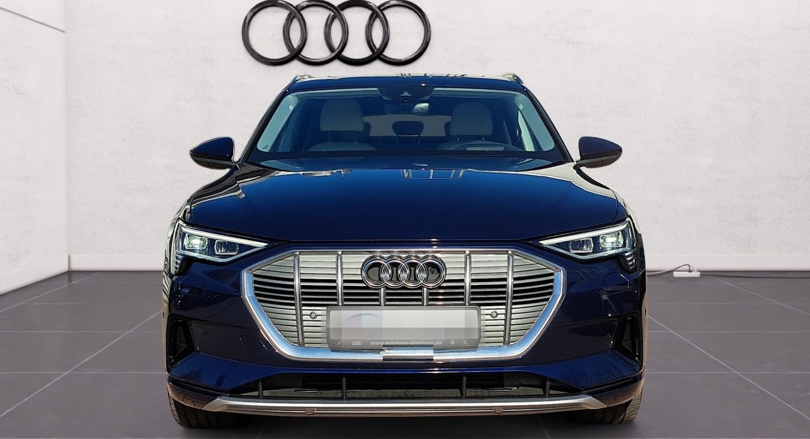 Audi e-tron advanced 55 quattro PANO AHK HEAD KAM MAT foto 4