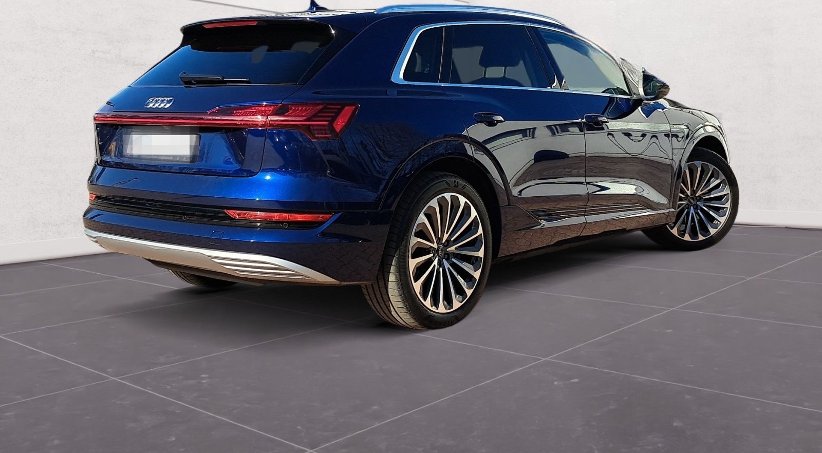 Audi e-tron advanced 55 quattro PANO AHK HEAD KAM MAT foto 10