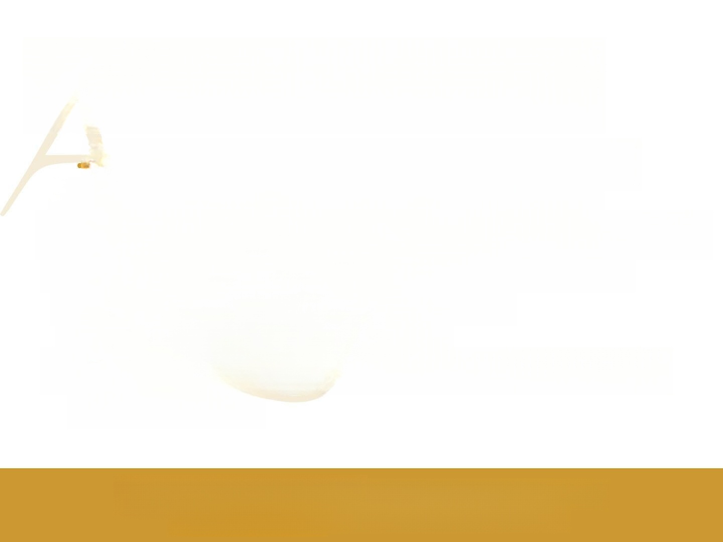 Volkswagen T6.1 Kombi DSG LED Navi AHK Tempomat PDC v+h Car foto 19