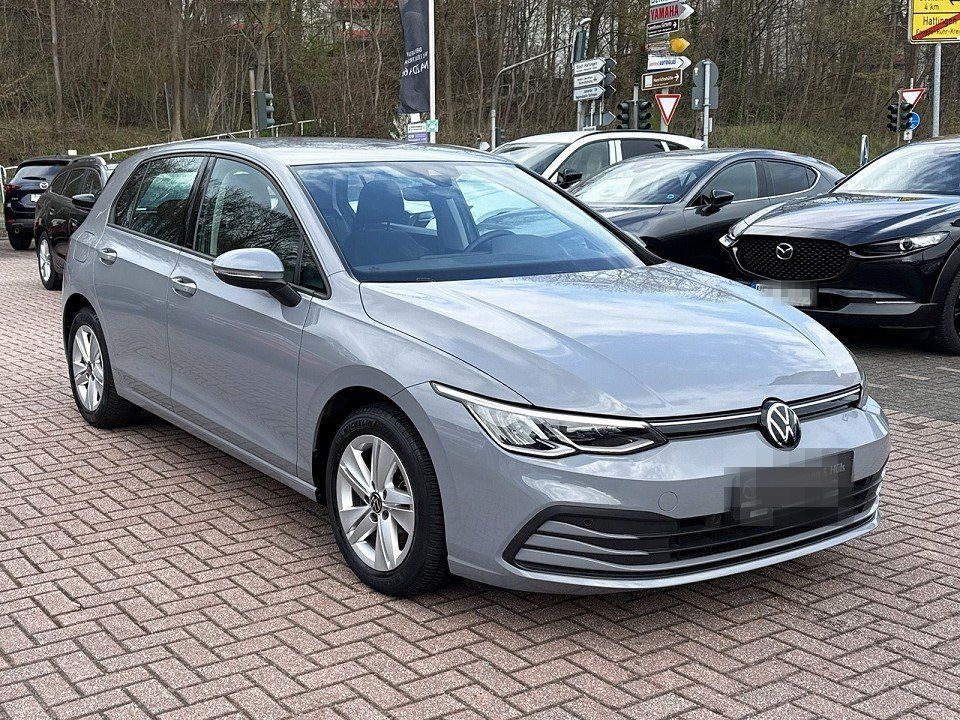 Volkswagen Golf VIII 1.5 TSI Life *Navi*Sitzheizung* foto 4