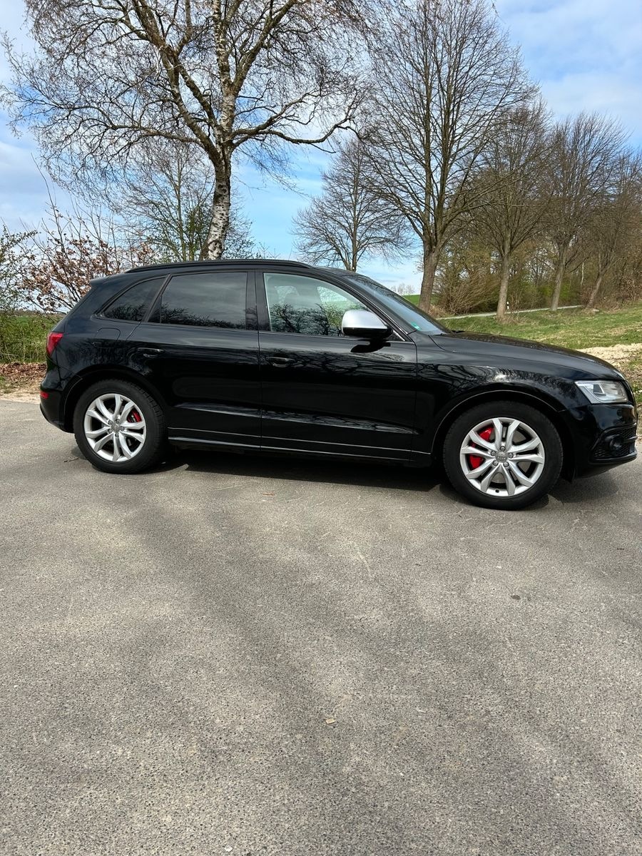 Audi SQ5 3.0 TDI competition tiptronic quattro - foto 14