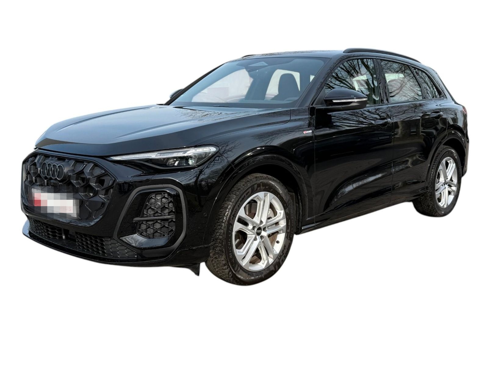 Audi Q5 TDI quattro Kamera/Standhzg/ACC/S-line/AHK foto 16