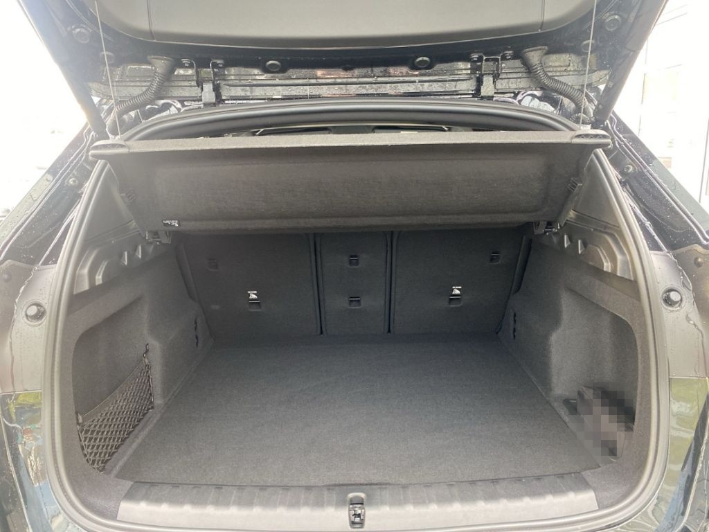 BMW X1 sDrive20d M Sport Pro Lenkrad&Sitzhg./Adapt.L foto 13