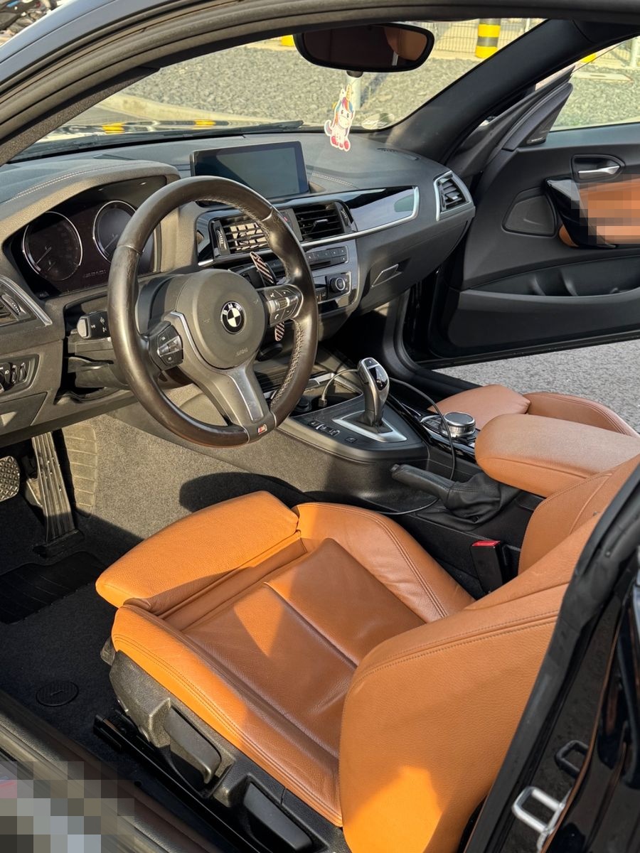 BMW M240i xDrive Steptronic, ohne OPF foto 10