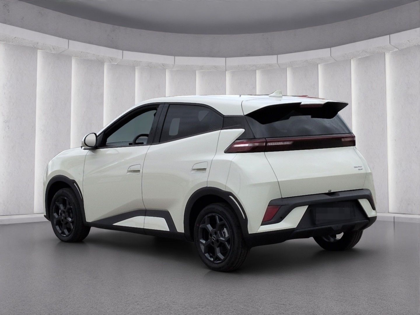 BYD Dolphin Surf Comfort*LED 360°Kam ACC Navi Leder foto 20