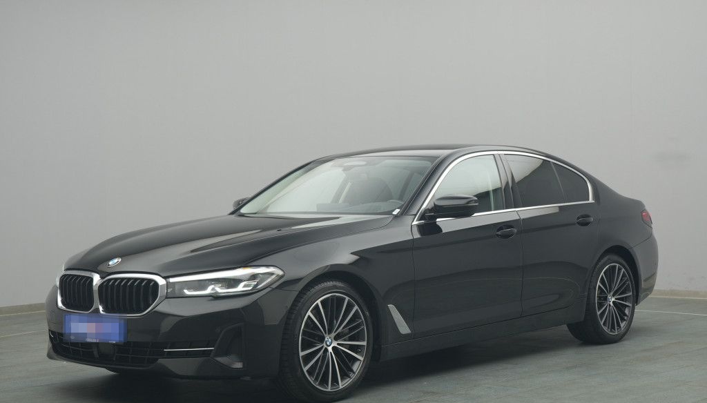 BMW 530d 285PS Aut./Business-Paket/Pano foto 2