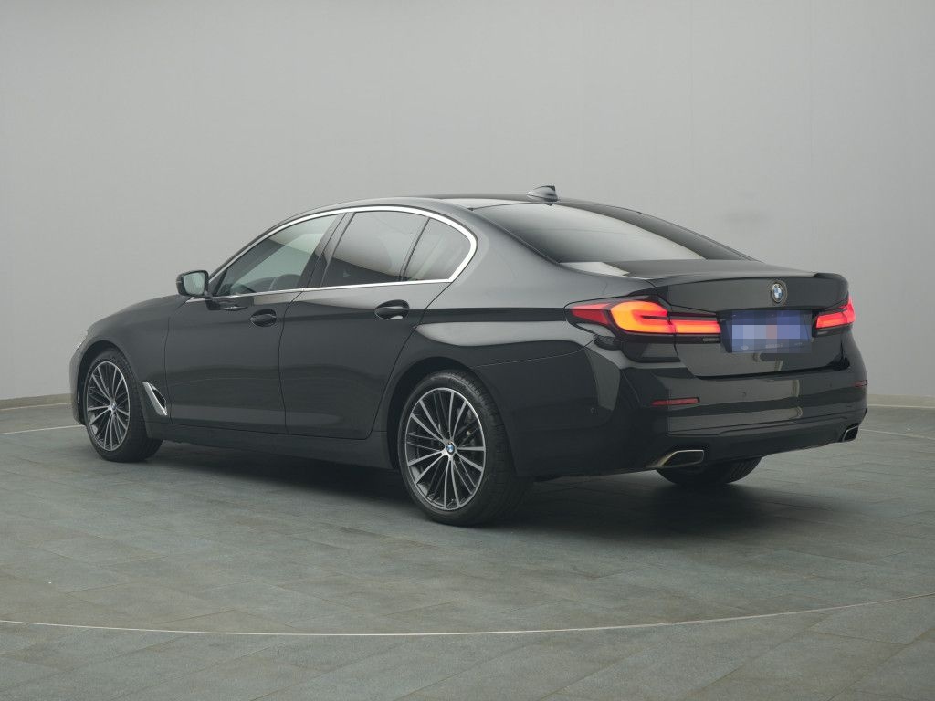 BMW 530d 285PS Aut./Business-Paket/Pano foto 18