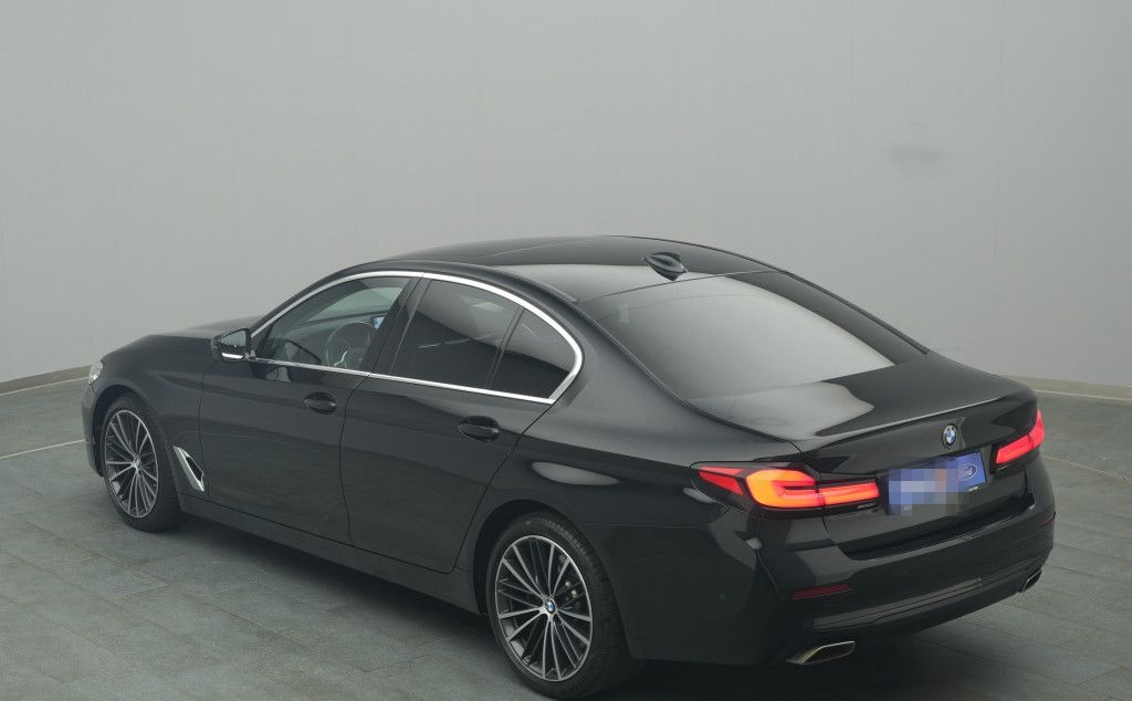 BMW 530d 285PS Aut./Business-Paket/Pano foto 19