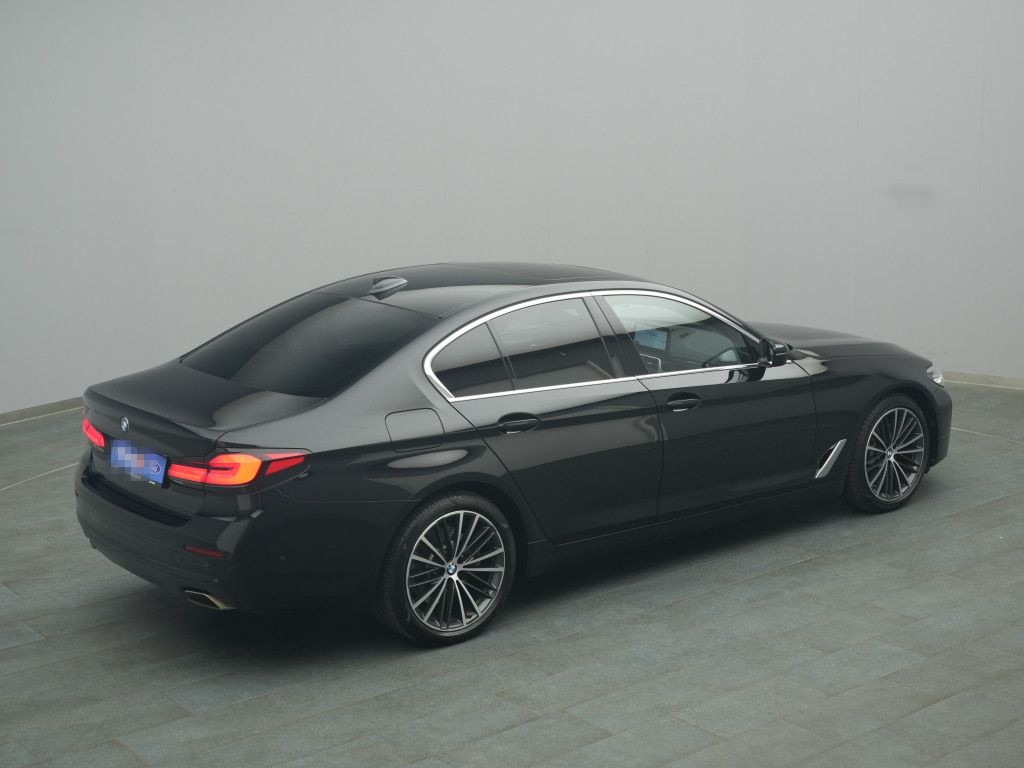 BMW 530d 285PS Aut./Business-Paket/Pano foto 22