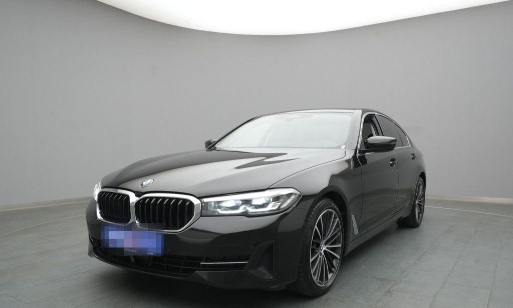 BMW 530d 285PS Aut./Business-Paket/Pano foto 23