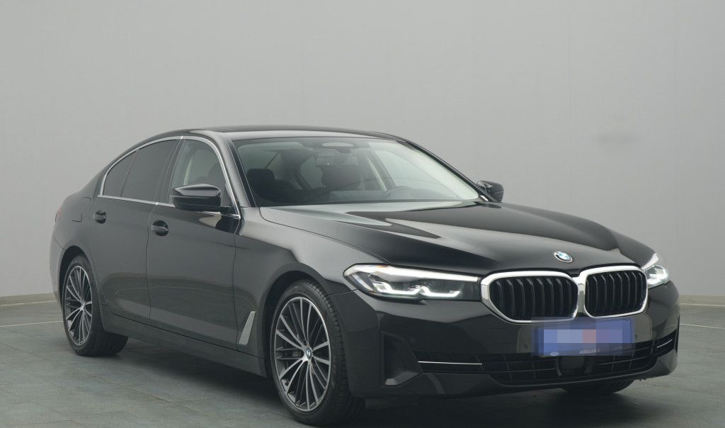 BMW 530d 285PS Aut./Business-Paket/Pano foto 24