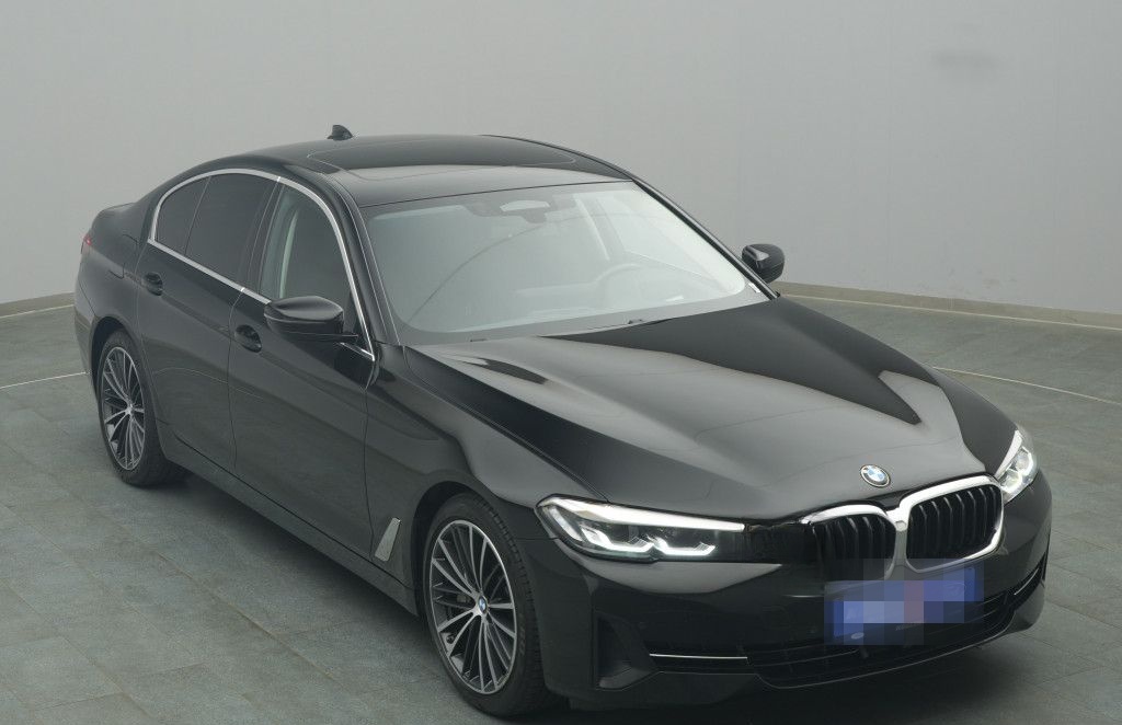 BMW 530d 285PS Aut./Business-Paket/Pano foto 25