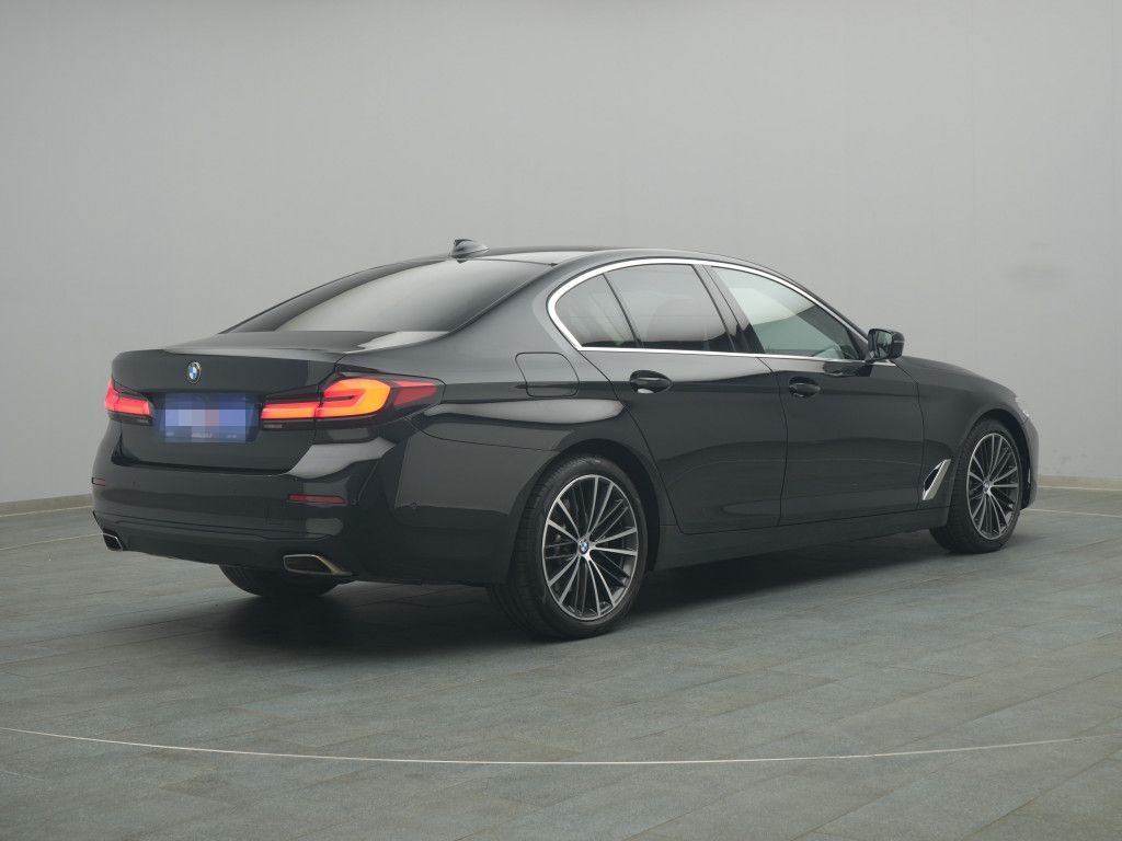 BMW 530d 285PS Aut./Business-Paket/Pano foto 4