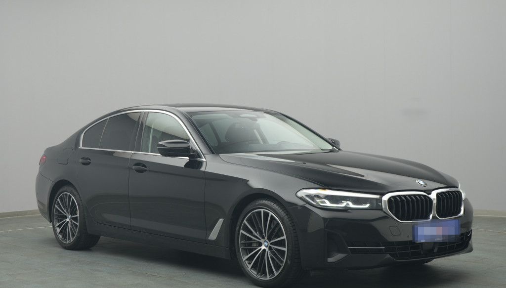BMW 530d 285PS Aut./Business-Paket/Pano foto 5