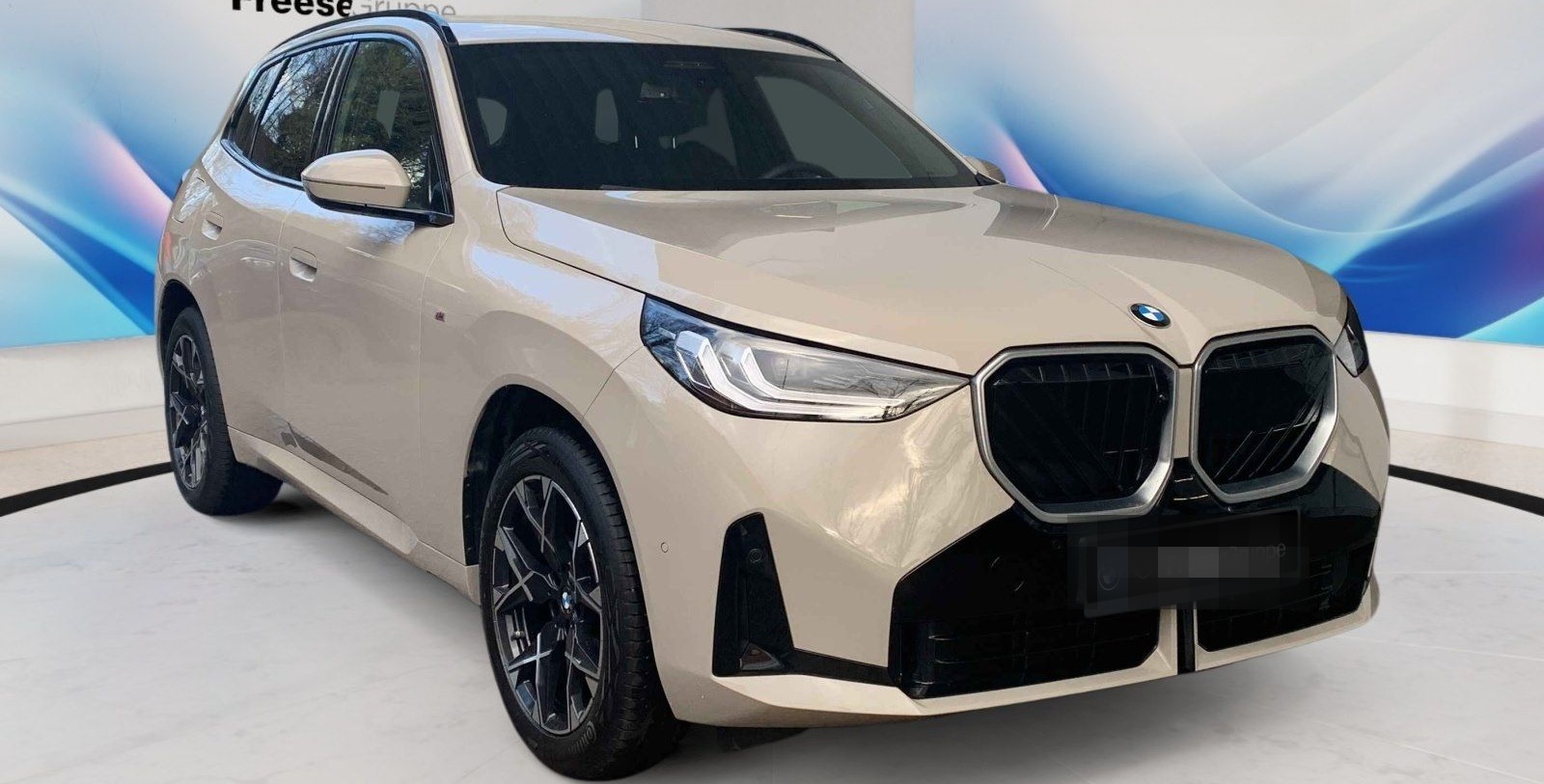 BMW X3 20d xDrive AHK 360° HEAD-UP RFK XDRIVE LED BT foto 8