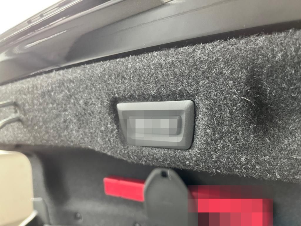 BMW 520d M Sport Carbon+Fahrassist+AHK+HUD+Pano+Wide foto 14
