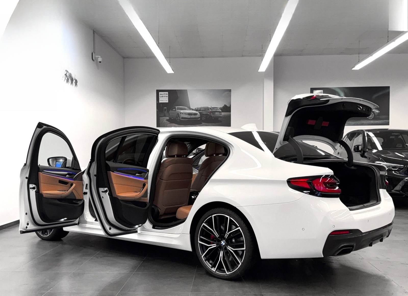 BMW 530d M-SPORT-PRO LEDER HUD ST-HZG ACC HARMAN 20" foto 10