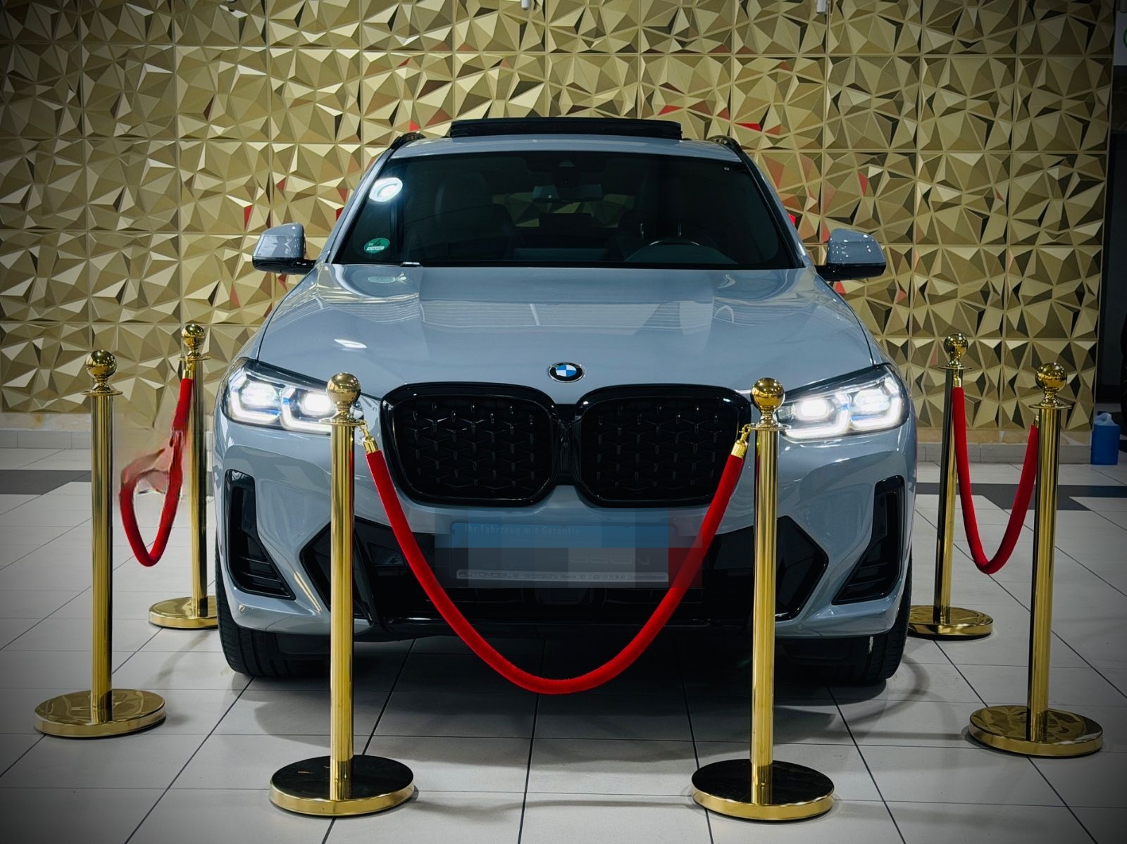 BMW X4 xDrive 20d|M-SPORTPAKET|PANORAMA|H&K|1.HAND| foto 24