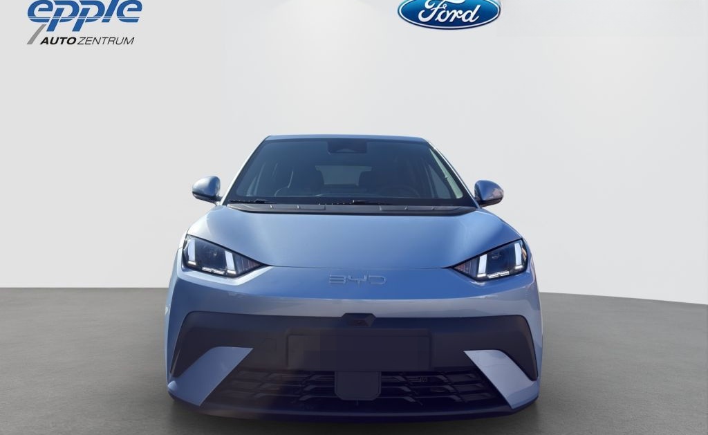 BYD DOLPHIN SURF Comfort foto 2