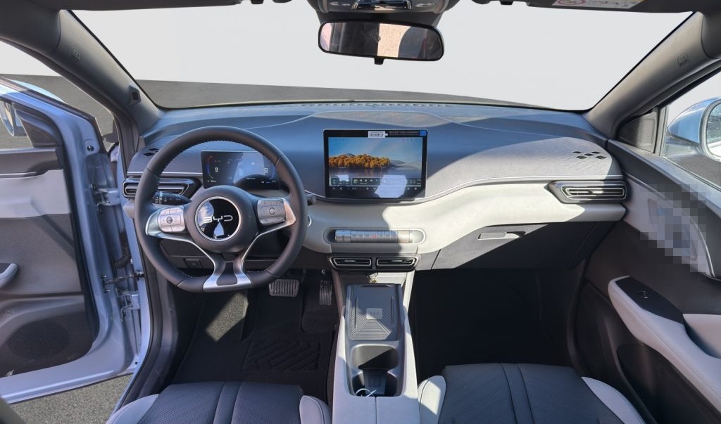 BYD DOLPHIN SURF Comfort foto 10