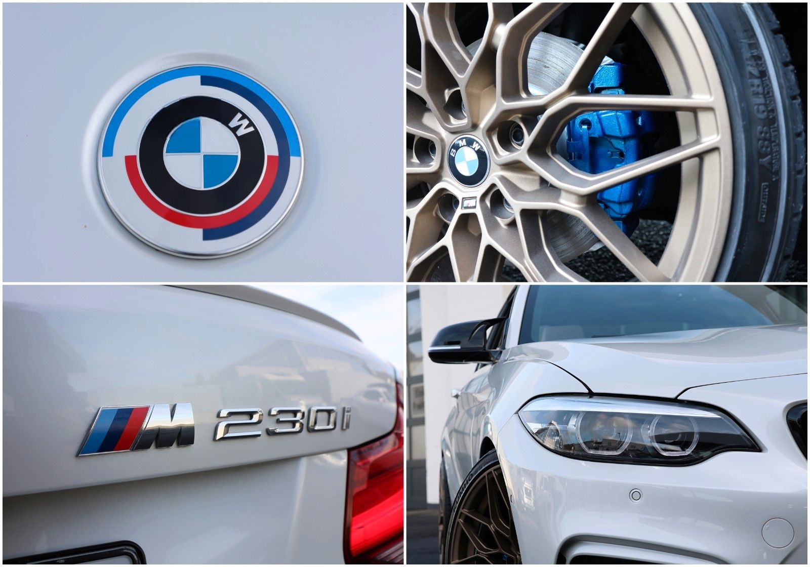 BMW 230i Coupé/CarPlay/SHZ/LHZ/KAMERA/SPUR/R19 foto 11