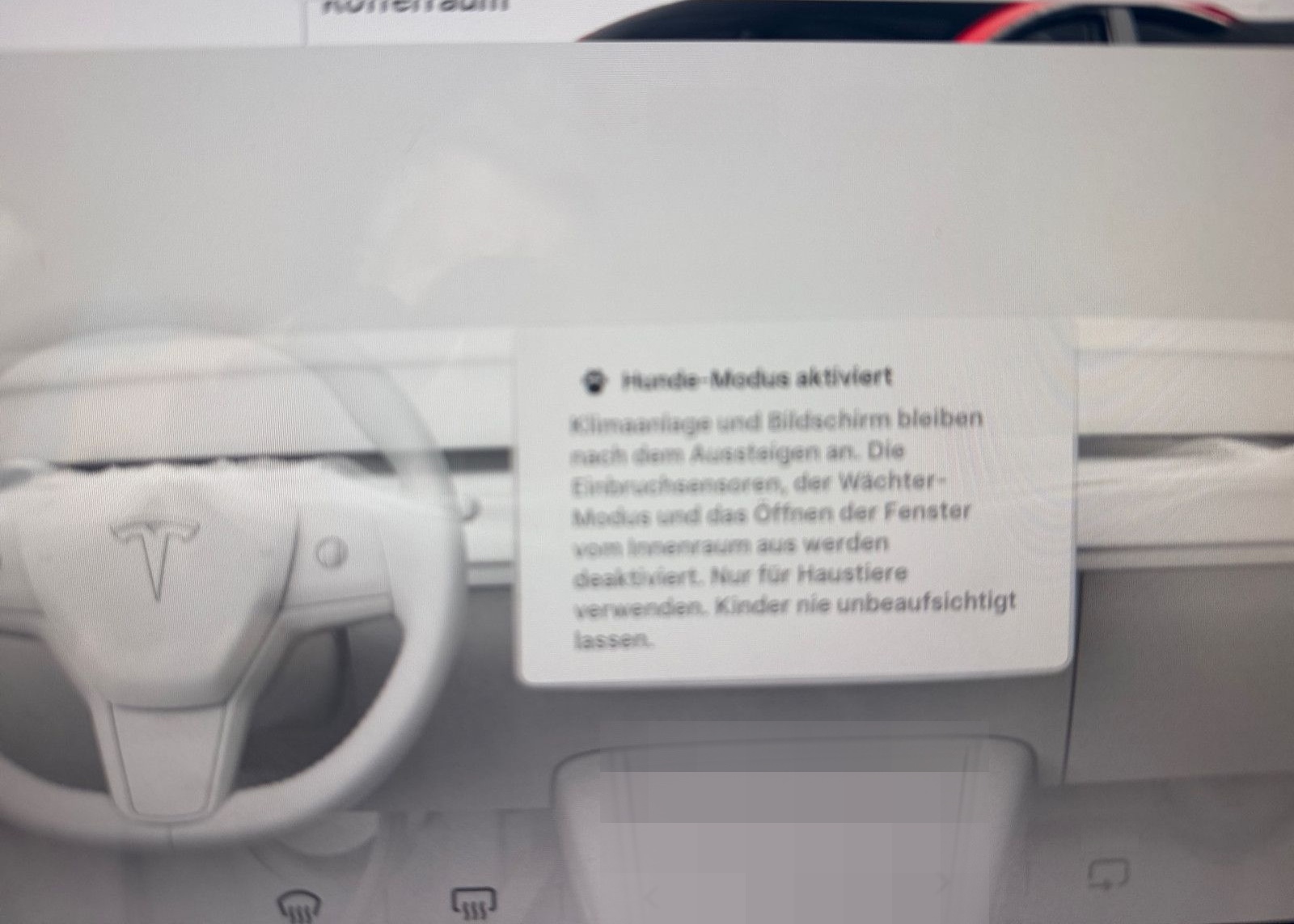 Tesla Model 3 Performance Dual AWD foto 20