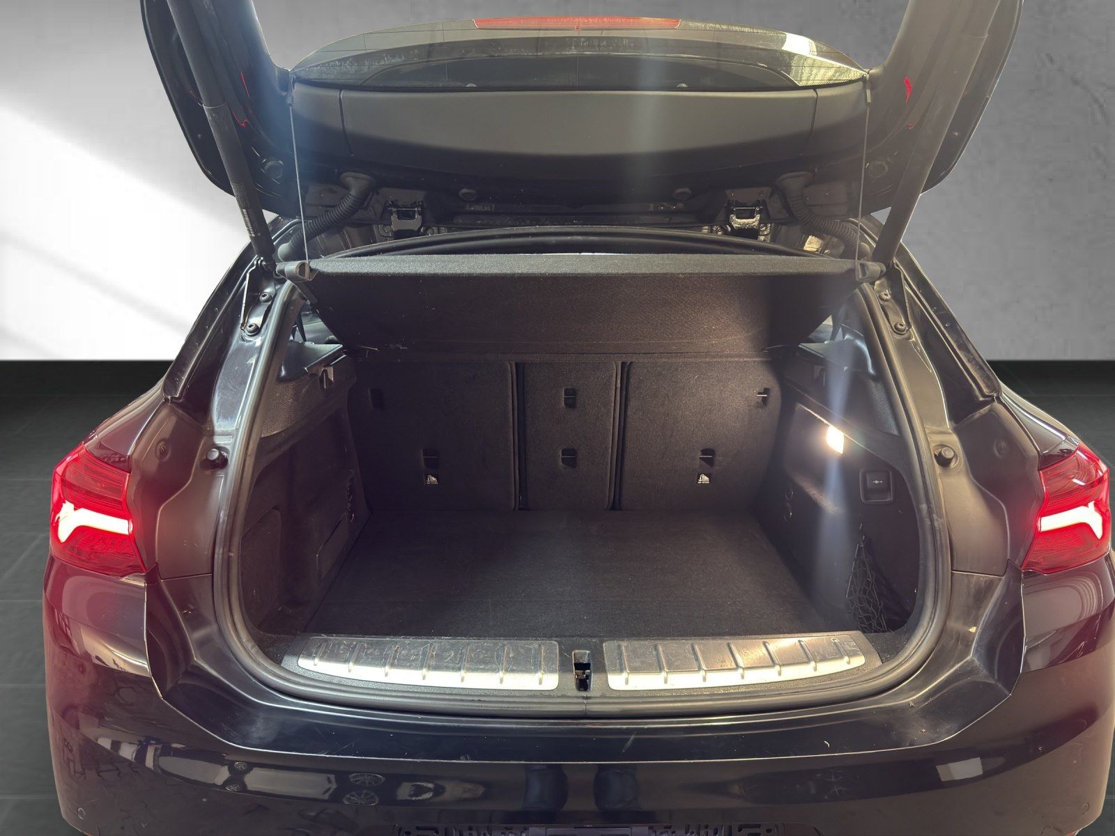 BMW X2 xDrive20d Edition M Mesh RFK Pano foto 12