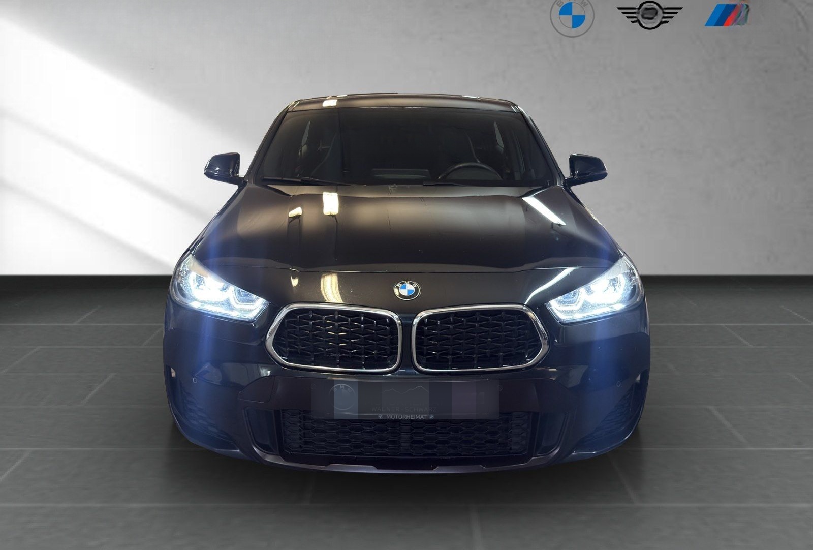 BMW X2 xDrive20d Edition M Mesh RFK Pano foto 3