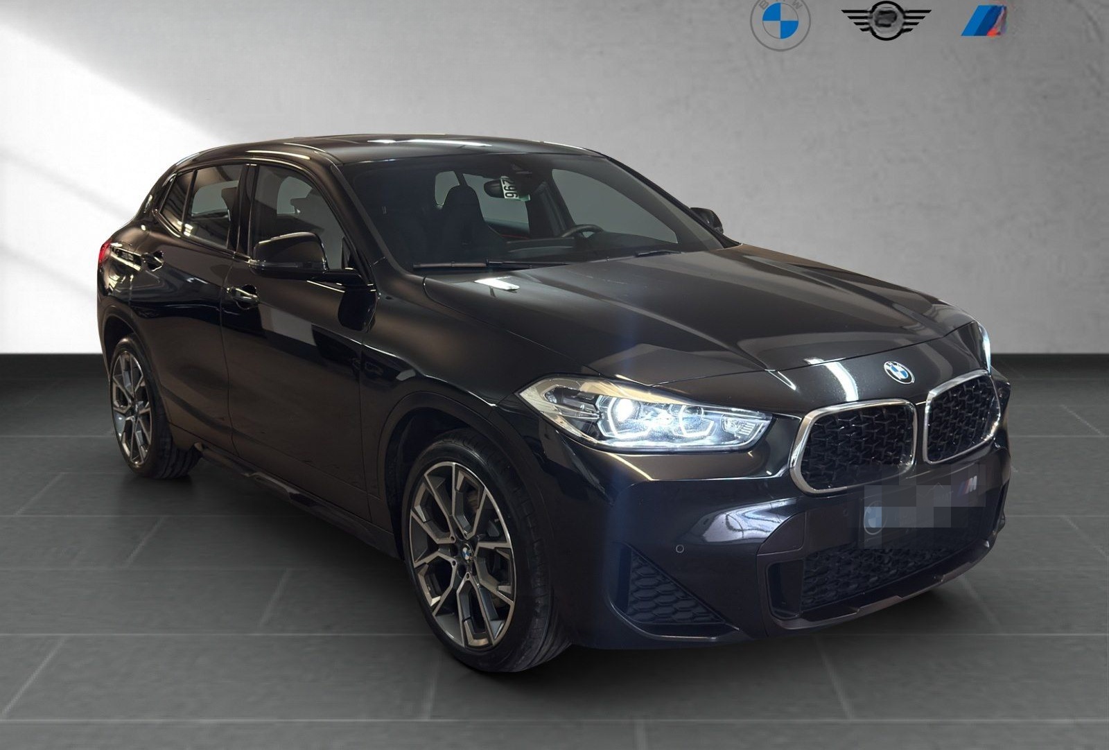 BMW X2 xDrive20d Edition M Mesh RFK Pano foto 4