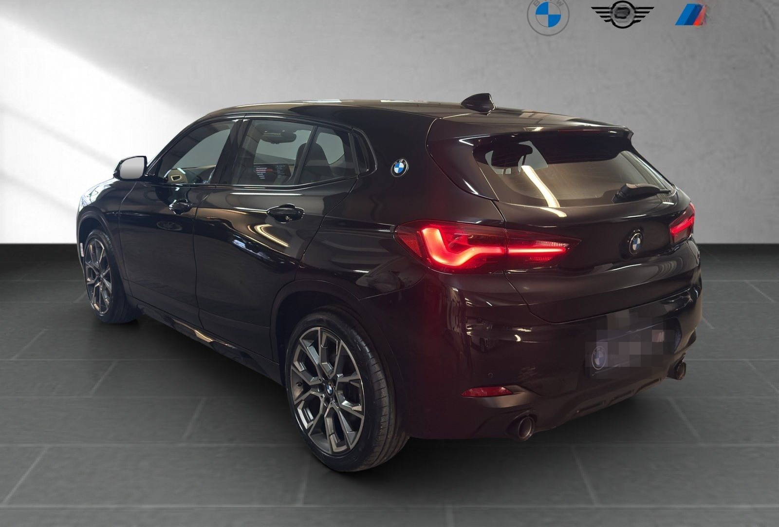 BMW X2 xDrive20d Edition M Mesh RFK Pano foto 5