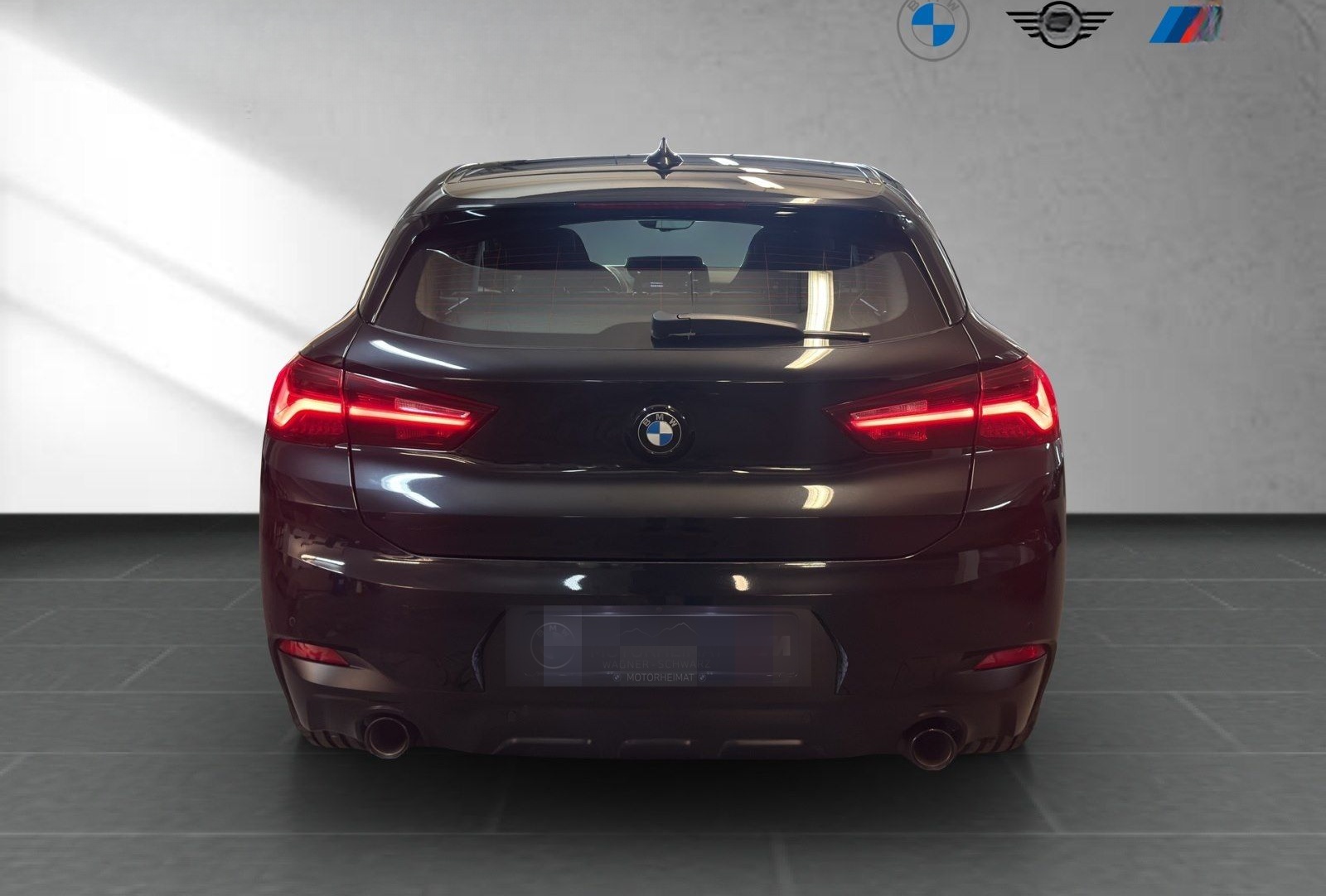 BMW X2 xDrive20d Edition M Mesh RFK Pano foto 6