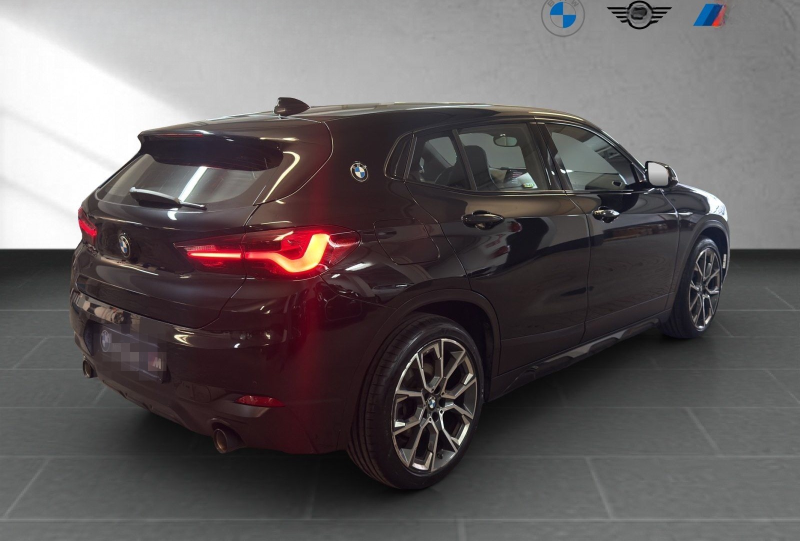 BMW X2 xDrive20d Edition M Mesh RFK Pano foto 7
