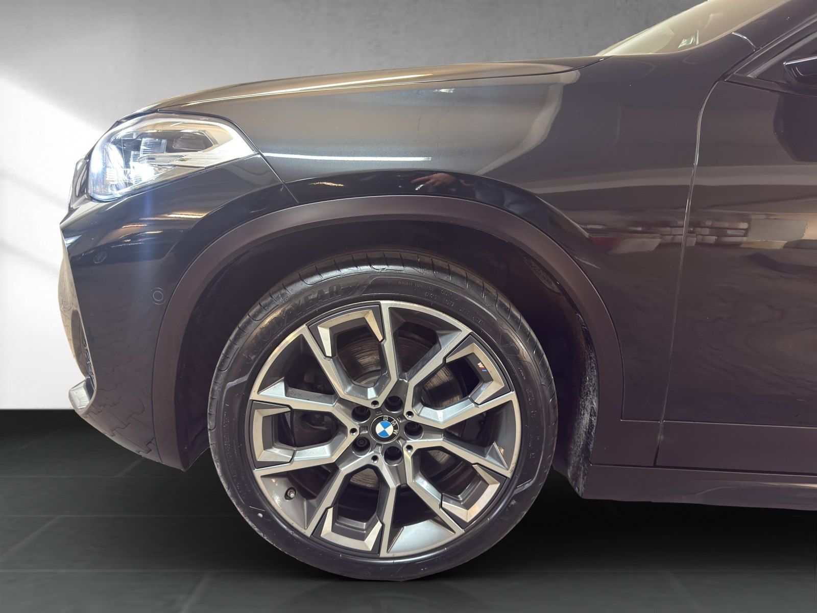 BMW X2 xDrive20d Edition M Mesh RFK Pano foto 8