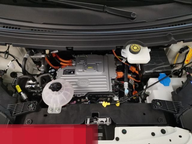 BYD Dolphin Surf Boost PANO 360 NAVI LEDER foto 22