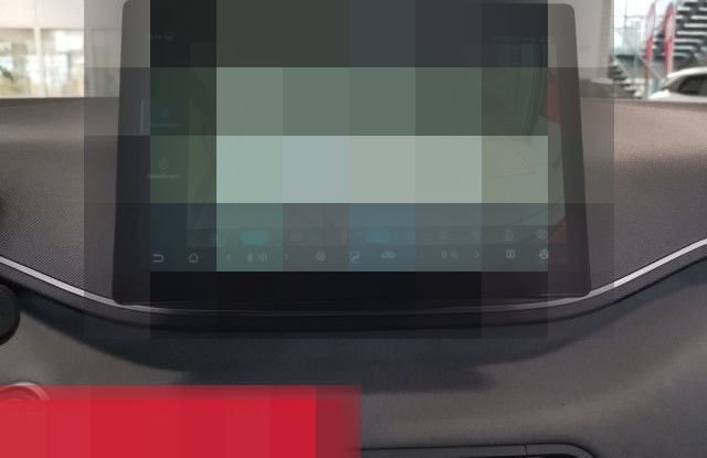 BYD Dolphin Surf Comfort NAVI PANO LEDER foto 18