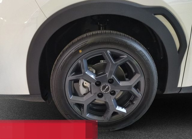 BYD Dolphin Surf Comfort NAVI PANO LEDER foto 8