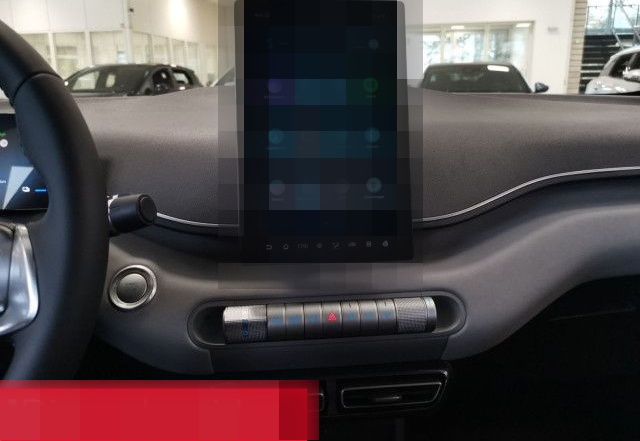 BYD Dolphin Surf Boost PANO NAVI 360 LEDER foto 19