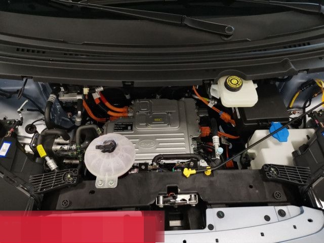 BYD Dolphin Surf Boost PANO NAVI 360 LEDER foto 21