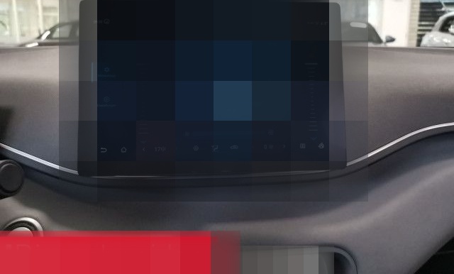 BYD Dolphin Surf Boost PANO NAVI 360 LEDER foto 24