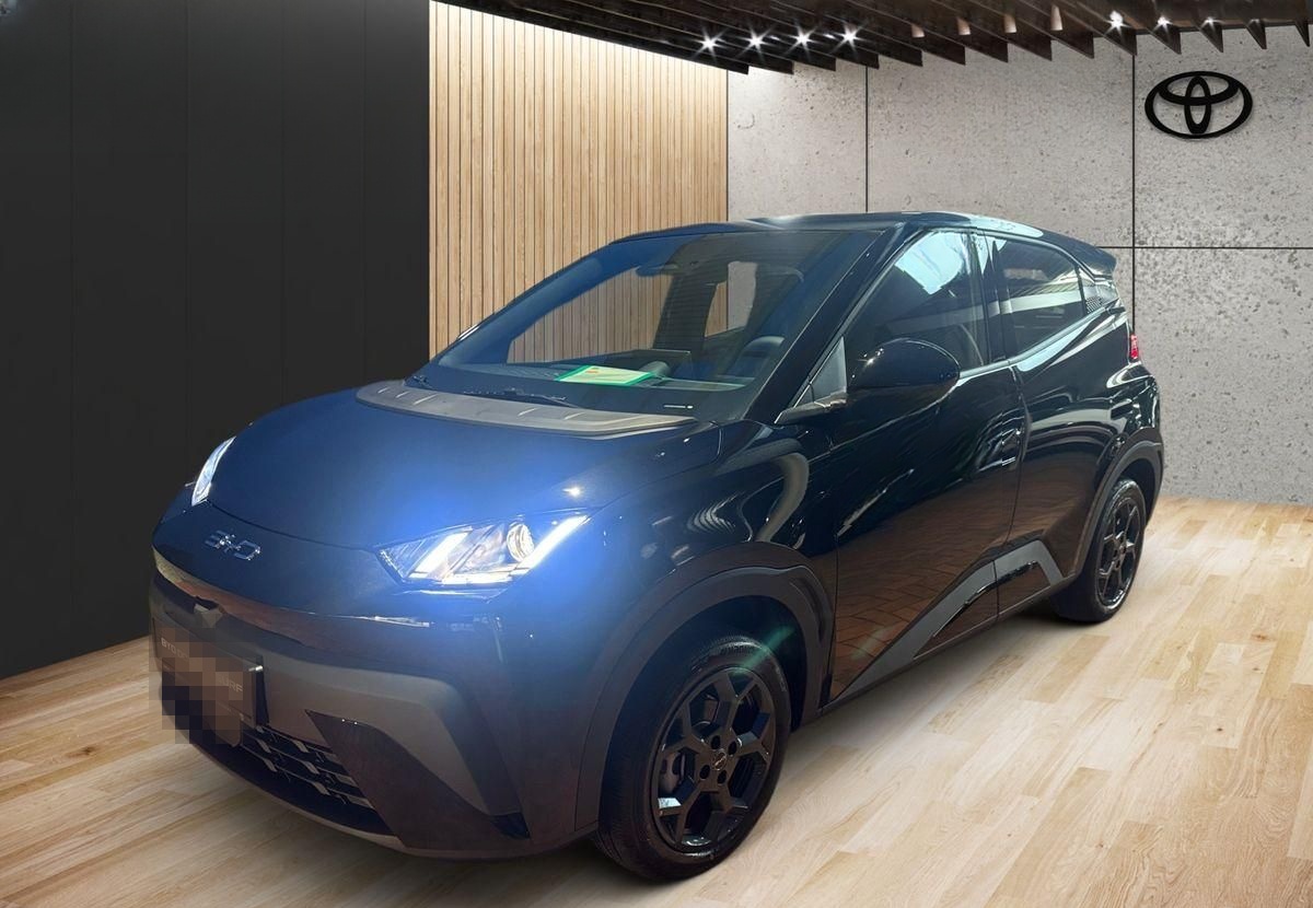 BYD Dolphin Surf 65 kW Boost foto 2