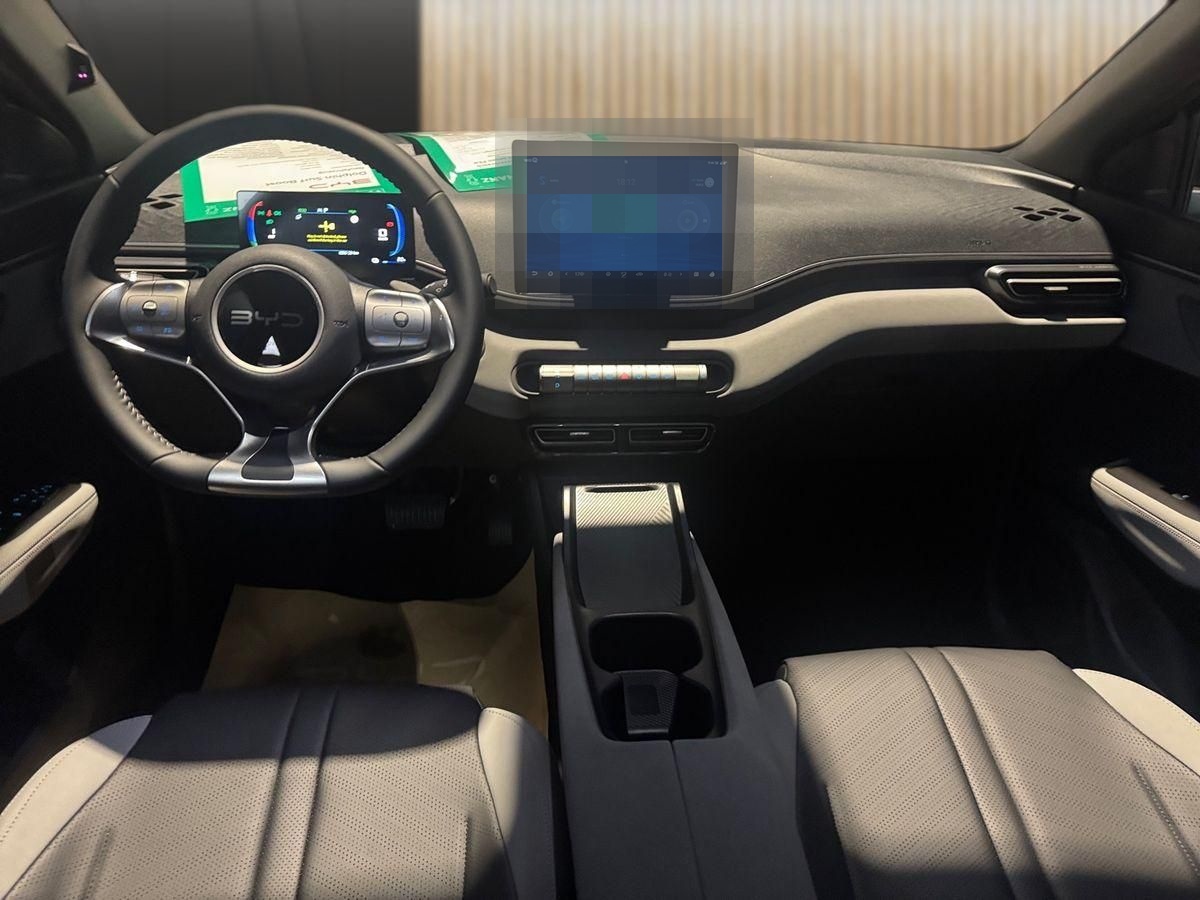 BYD Dolphin Surf 65 kW Boost foto 11