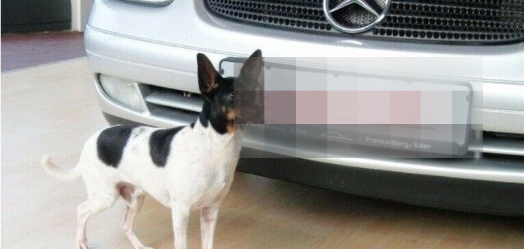 BMW X1 xDrive 20i *AHK*Navi*Tempo*Shzg* foto 18