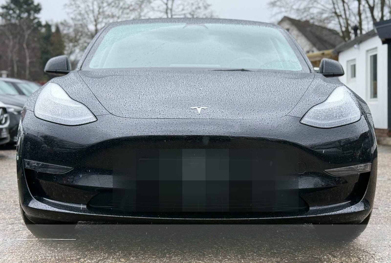 Tesla Model 3 Perfomance Navi Leder 377 KW PSD foto 3