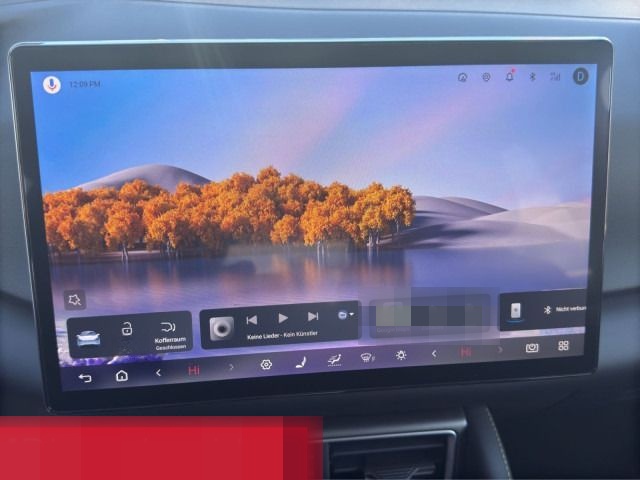 BYD Atto 2 DM-i Boost PANO 360 NAVI LEDER foto 17