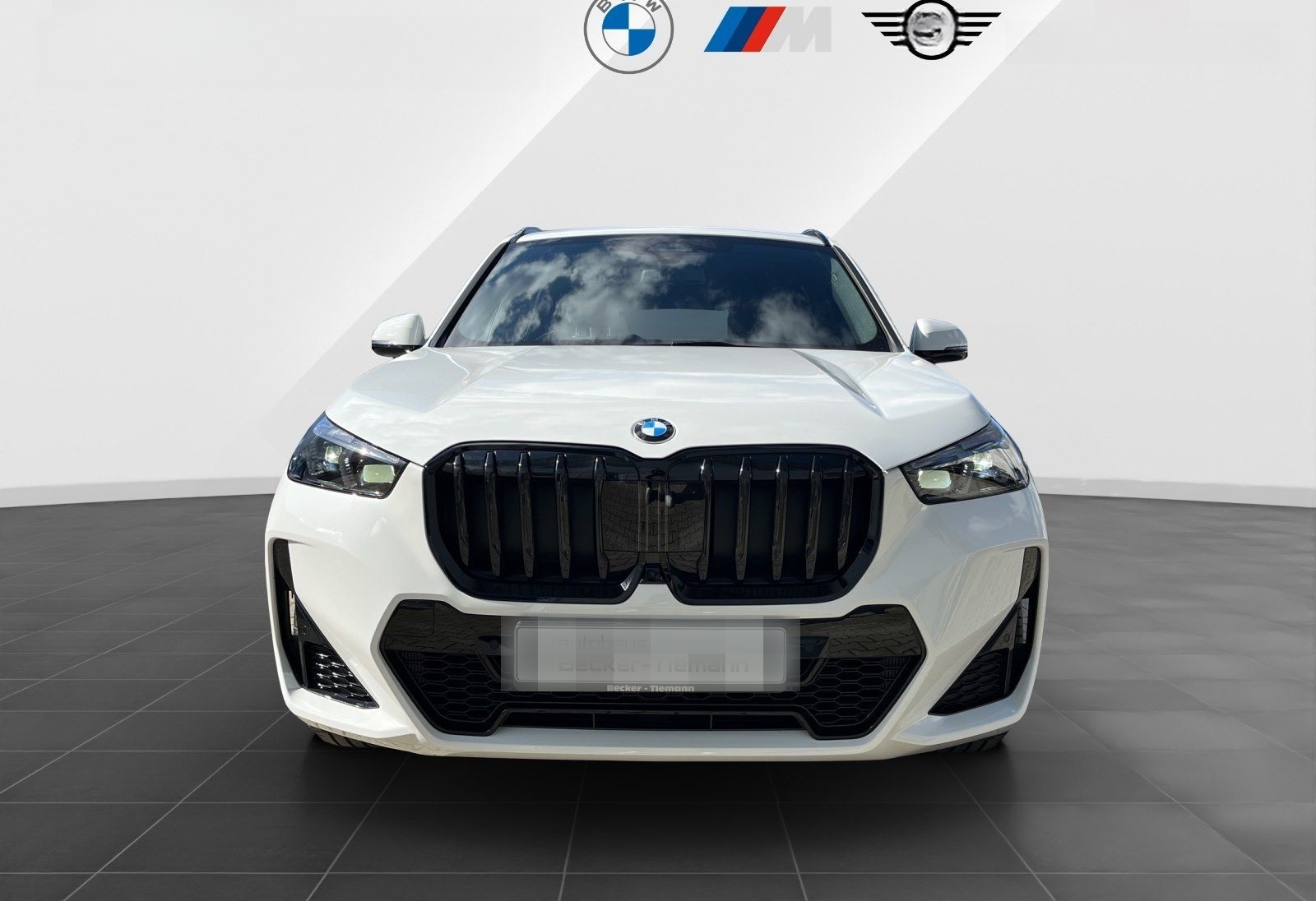 BMW X1 sDrive20i M-Sport Pro HUD DrivAss+ ParkAss+ A foto 2