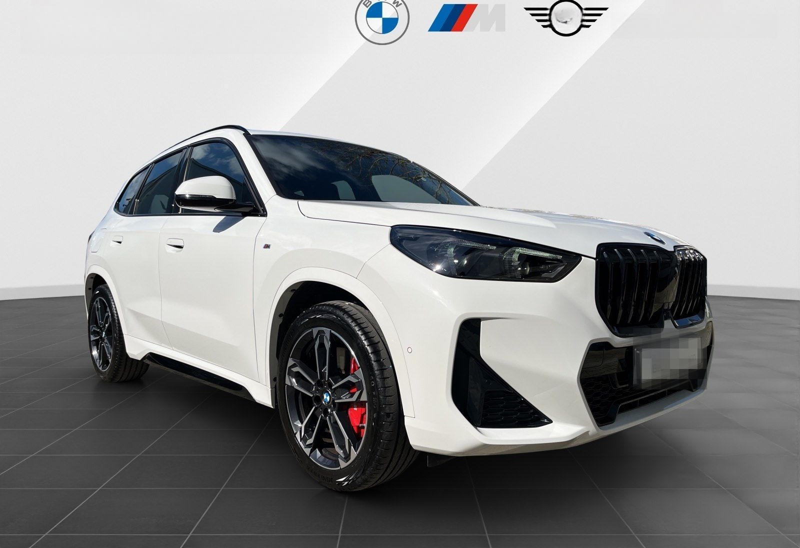 BMW X1 sDrive20i M-Sport Pro HUD DrivAss+ ParkAss+ A foto 7