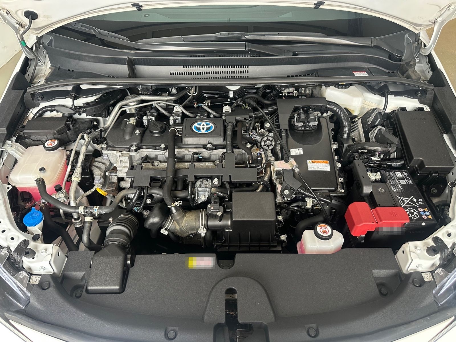 Toyota Corolla Touring Sports Hybrid Business Edition foto 13